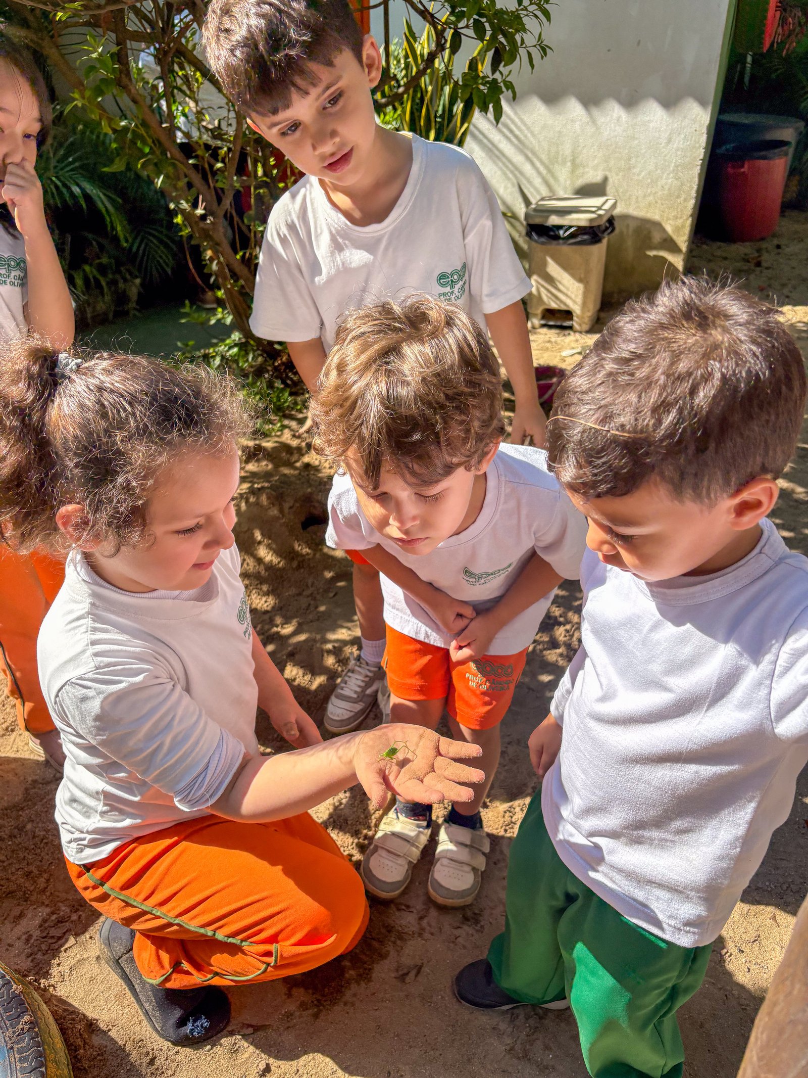 Crianças descobrindo pequenos seres da natureza no parque