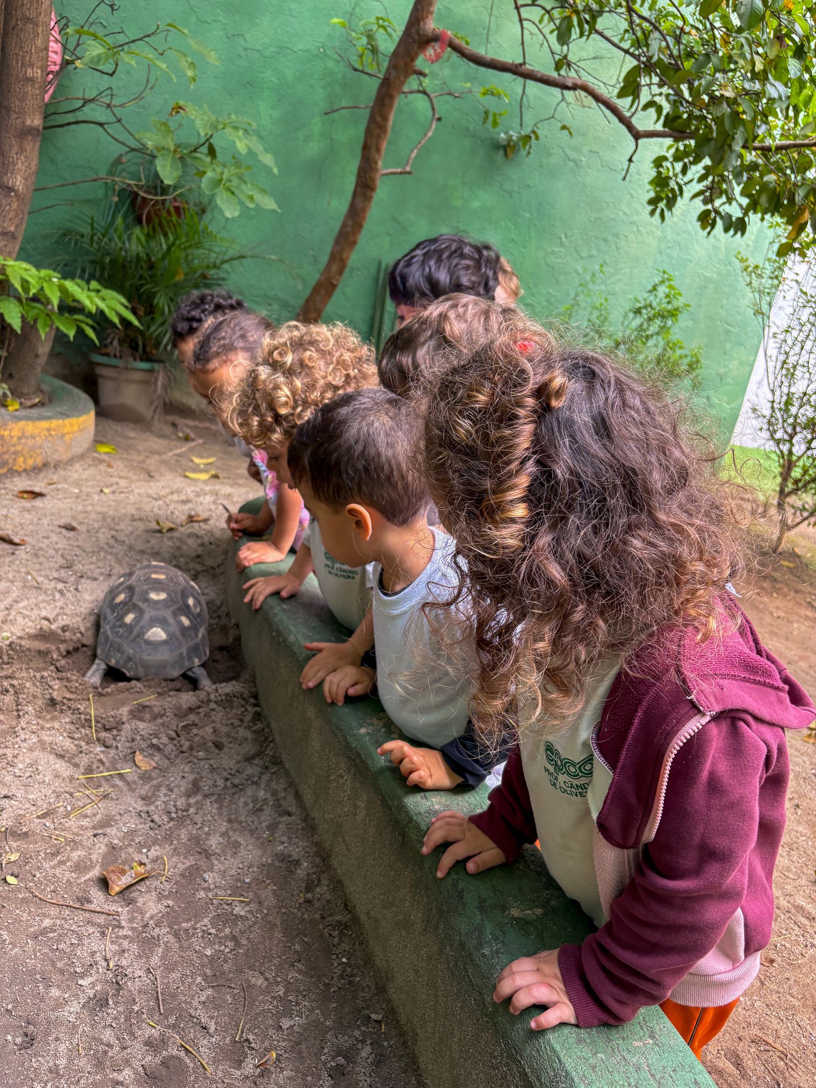 Crianças da EPCO observando um dos jabutis da escola